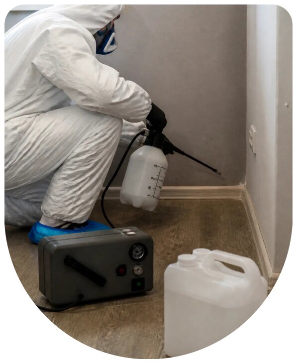 Устранение стойкого запаха мочи в Саратове профессионально